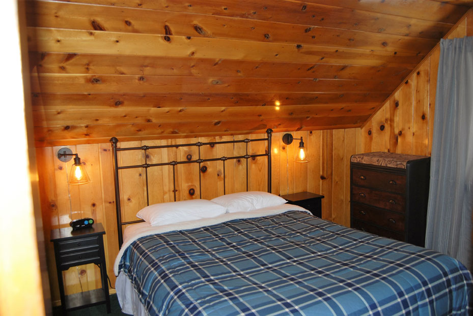 Cabin 9 bedroom