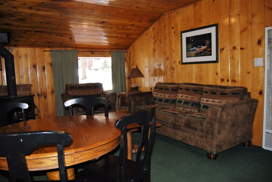 Cabin 9 living room