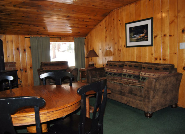 Cabin 9 living room