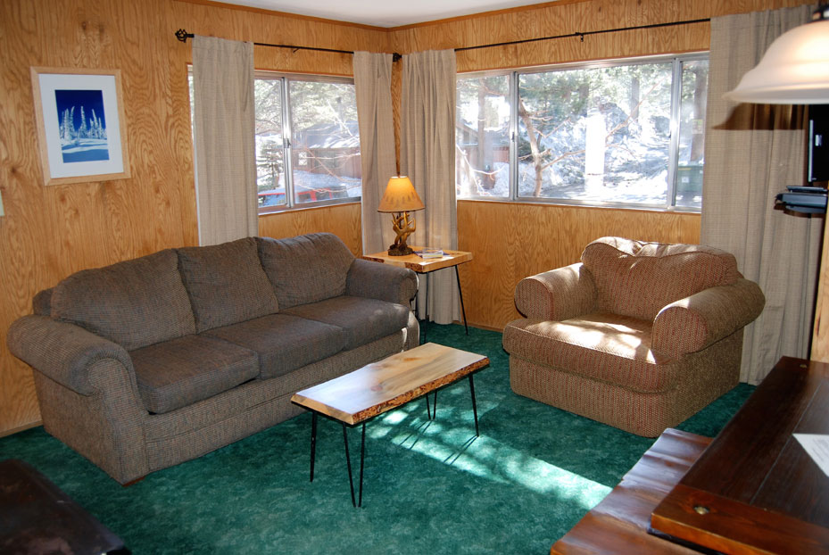 Cabin 5 living room